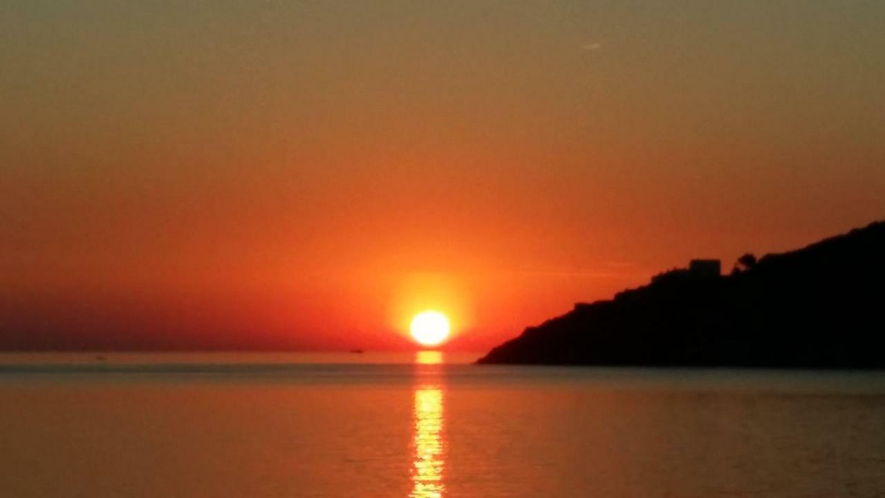 Carpe Diem Port De La Selva El Port De La Selva ภายนอก รูปภาพ
